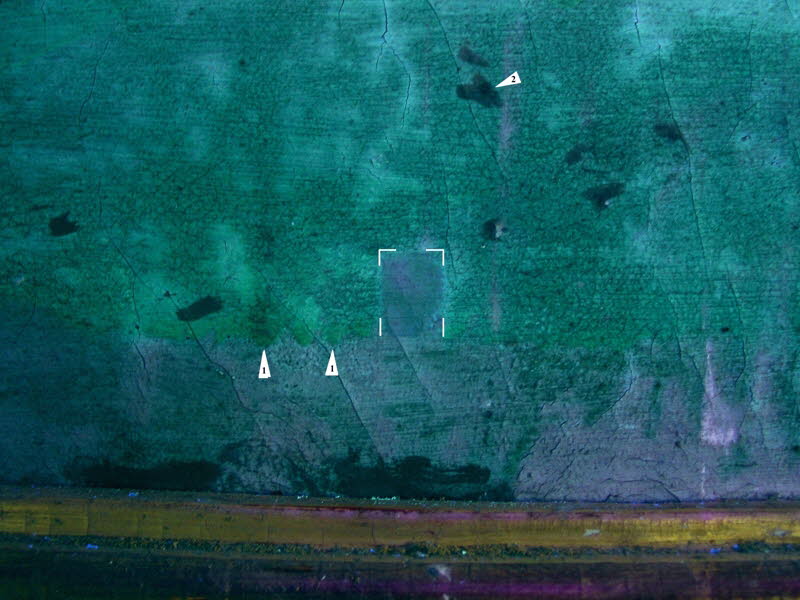 wie vorherige Abbildung, unter UV-Licht